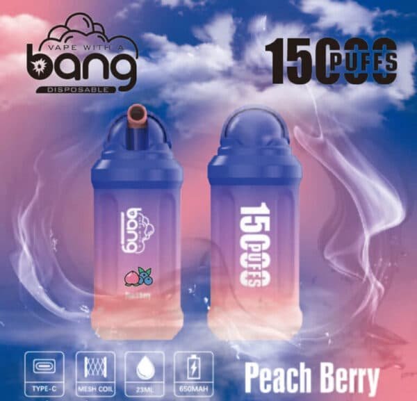 BANG CUP 奶茶杯15000Puffs